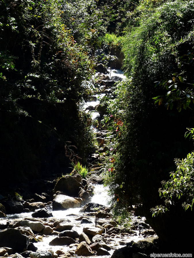 aguas calientes 005